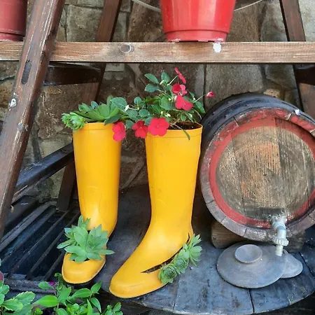 семеен хотел-ресторант маламовата къща 2* Goze Deltschew